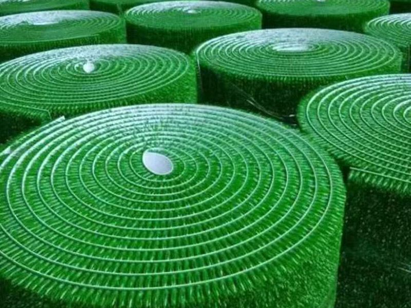 微信图片_20250508035040